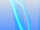 Item number: 300110954 Name: Business Company Type: Flash intro template
