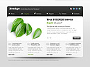 New Business - jQuery flash templates