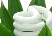 Curabitur rutrum vel