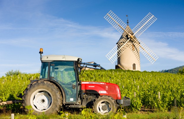 Mauris faucibus imperdiet