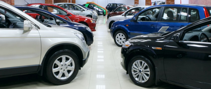 Vivamus tristique dui