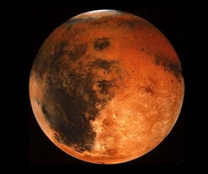 Cras sed leo euismod