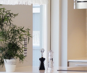 Curabitur nibh lectus