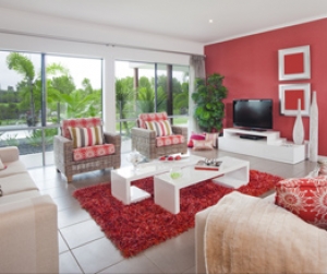 Cras sed leo euismod