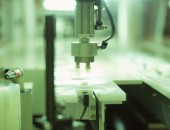 Sed consequat massa eget