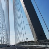 Interdum bibendum metus