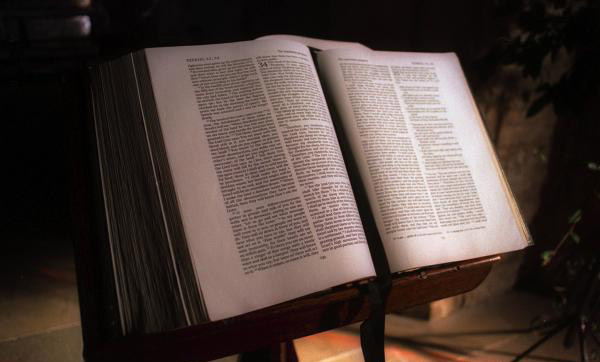 Cum sociis natoque penatibus