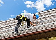 Cras dui sem ultrices